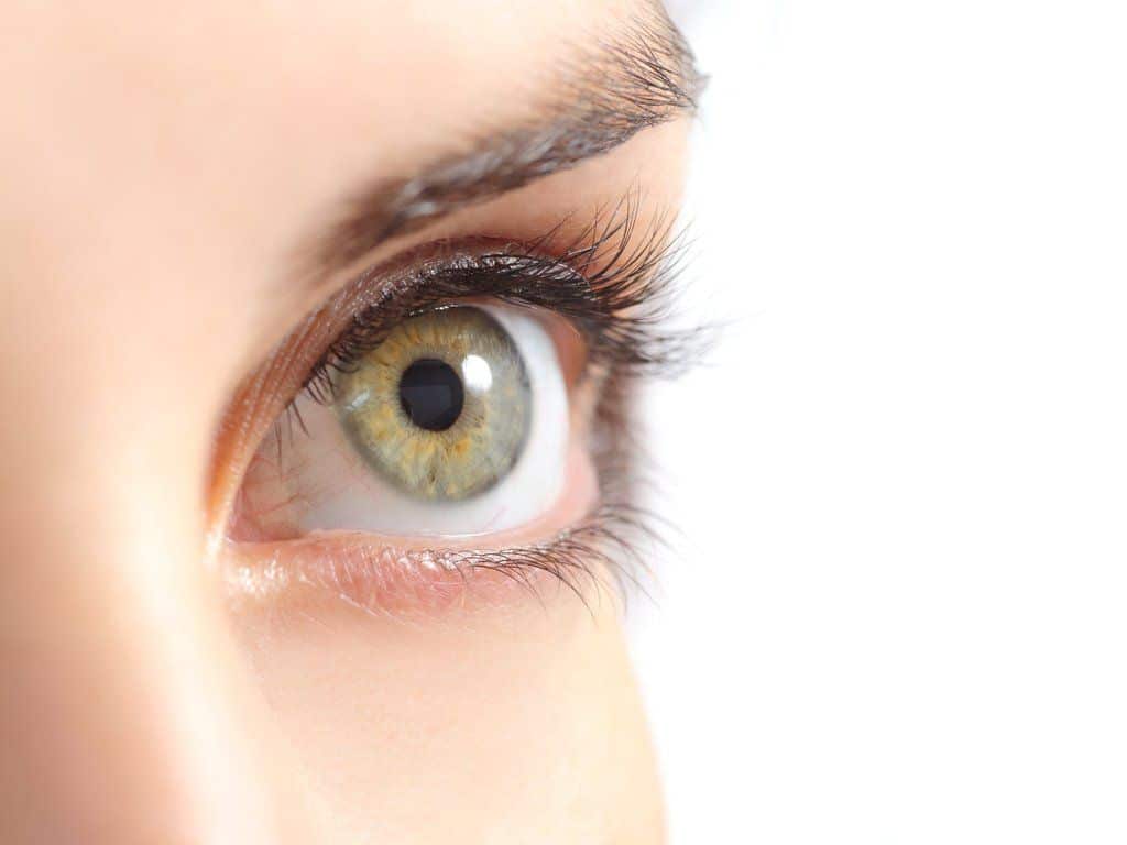 1763386553_25191645_presentation-1920w